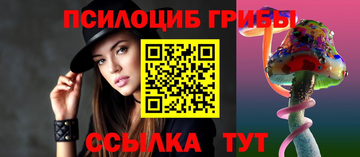 Псилоцибиновые грибы MAGIC MUSHROOMS  Вход с VPN  Пугачёв  Галлюциногенные грибы Cubensis 